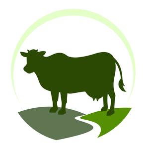 Milk & Dairy Product
